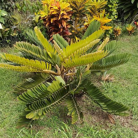 Bencastle Villa Gros Islet Luaran gambar