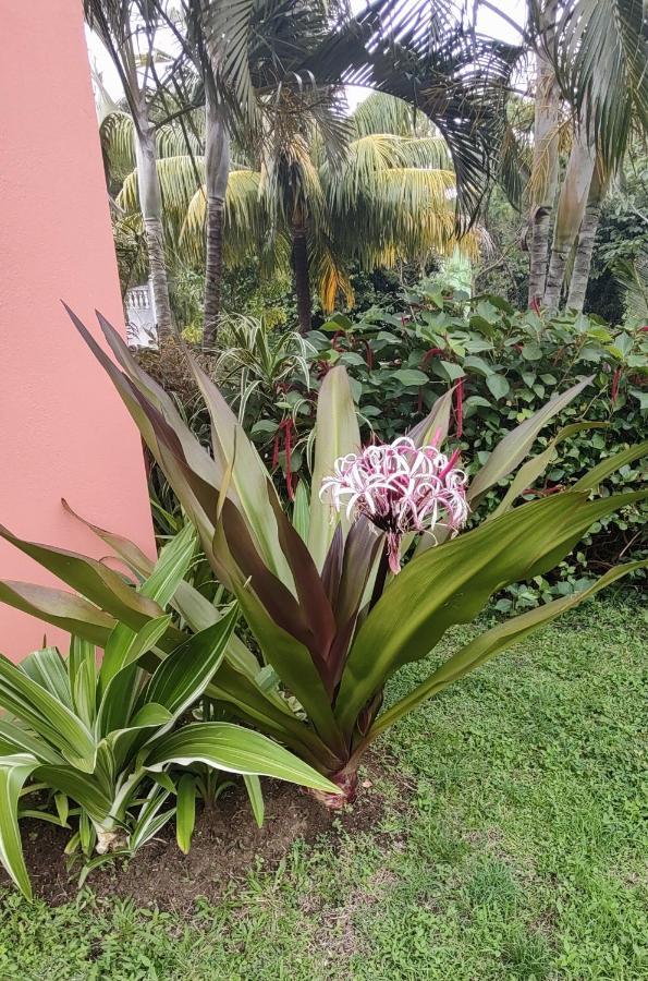 Bencastle Villa Gros Islet Luaran gambar