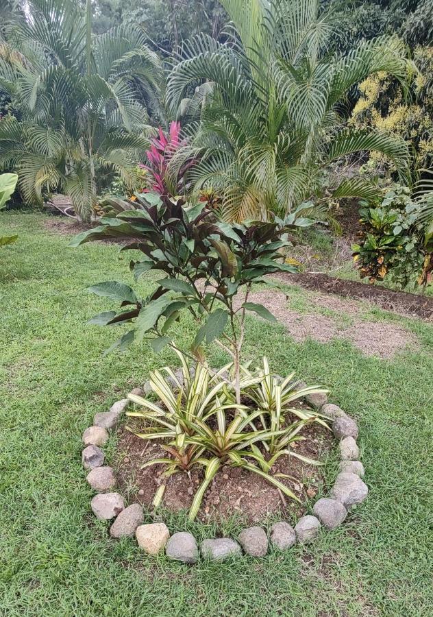 Bencastle Villa Gros Islet Luaran gambar